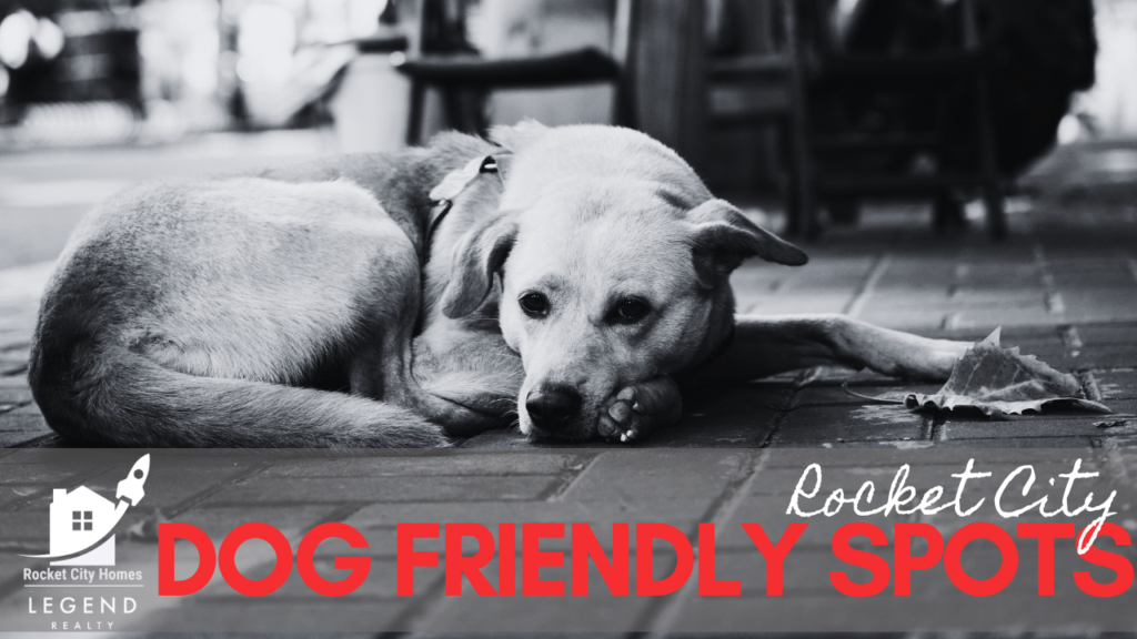 Rocket City Dog-Friendly Places